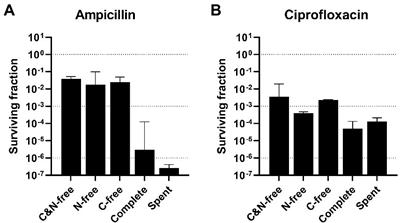 Frontiers Survival Of Escherichia Coli After High Antibiotic Stress   1149978 Thumb 400 